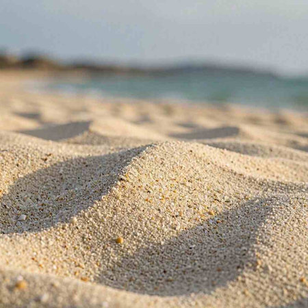 sand on the beach of the sea in the rays of the sun