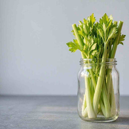 Fresh celery in a glass jar on a gray background. Copy space.