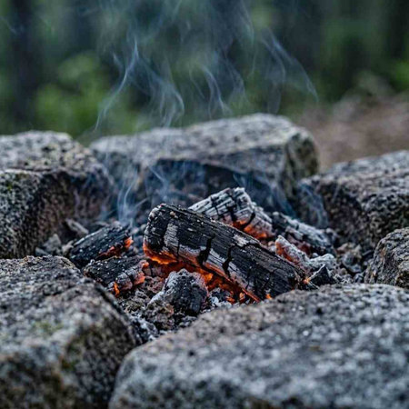 Bonfire in the forest. Selective focus on the fire.