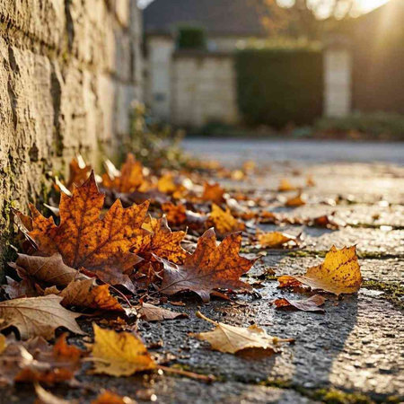 autumn leaves on the ground in front of an old stone wall