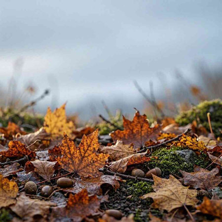 Fallen leaves on the ground in the forest. Selective focus.