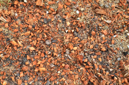 Land Management by Recycling compost in farm の写真素材