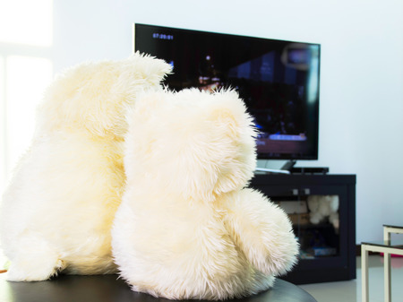 Teddy Bear in living room with television that for relaxation in the holiday.の写真素材