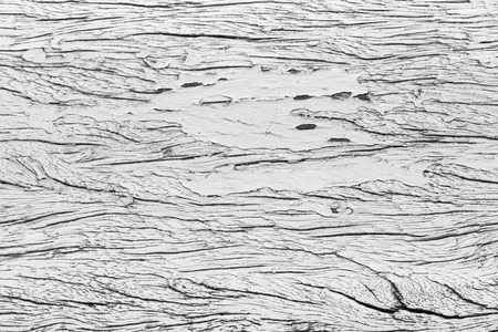 Background texture of old white painted wooden lining boards wall.の写真素材