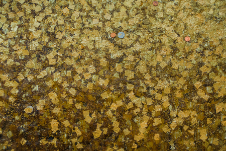 Gold Background Texture in frame.の写真素材