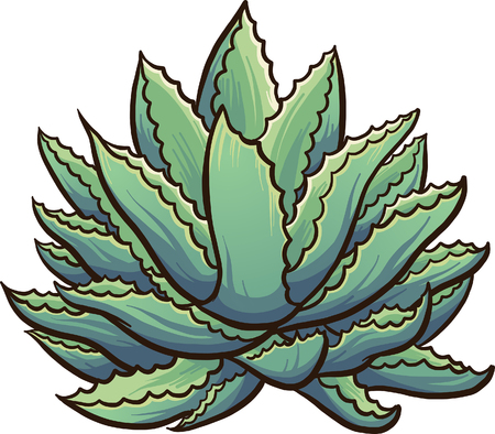 Cartoon agave plant. Vector clip art illustration with simple gradients. All in a single layer.のイラスト素材