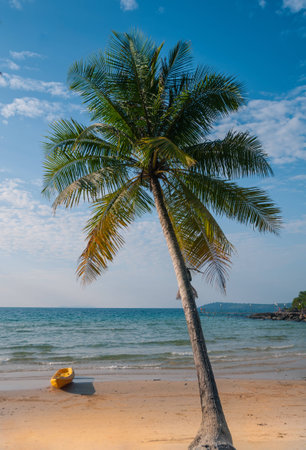 beachの写真素材