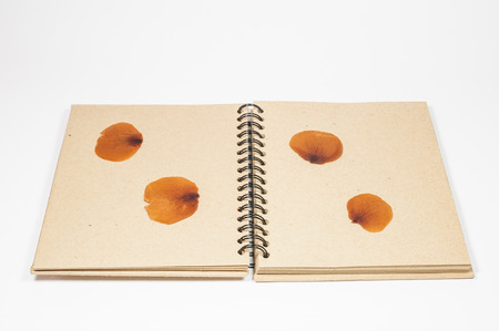 vintage notebook
