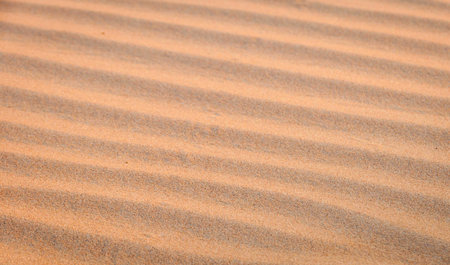 Texture of wave sand