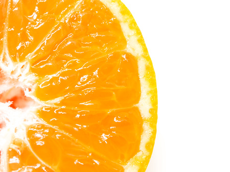 Slices of orange on a white background. Free space for text.