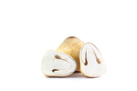 Fresh mushrooms  on white background