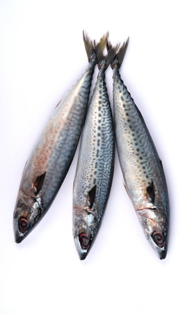 Fresh saba fish isolated on white background
