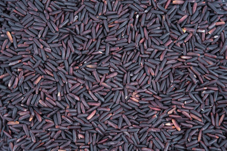 Rice berry isolated on white backgroundの写真素材