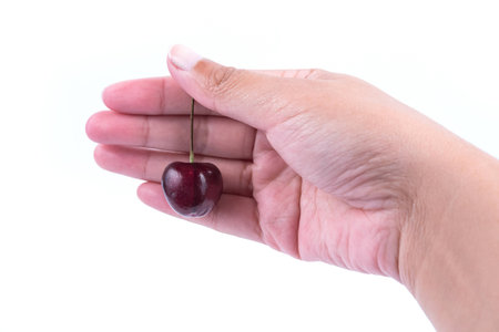 Hand holding red cherry on white backgroundの写真素材