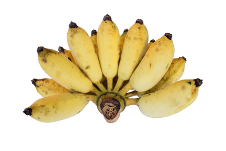 Cultivated Bananaの写真素材