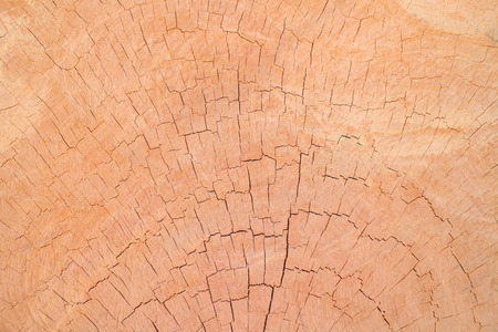wood background and textrueの写真素材