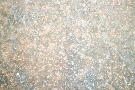 gray background and textrueの写真素材