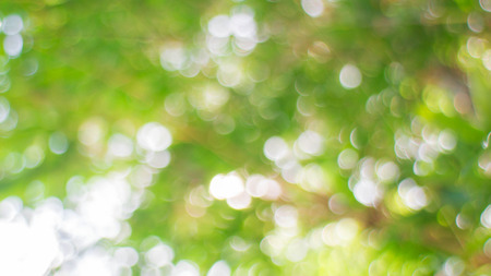 green bokeh blur backgroundの写真素材
