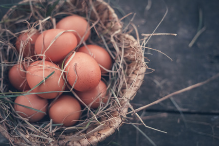 Easter eggs rustic photo illustrationの写真素材