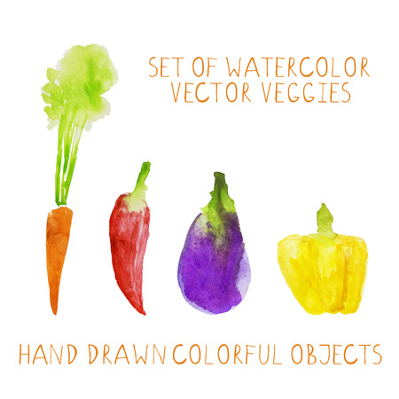 Set of hand drawn watercolor vector vegetablesのイラスト素材