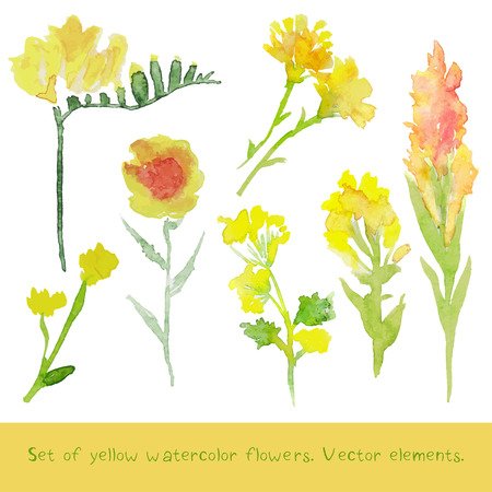 Hand painted watercolor flowers.のイラスト素材