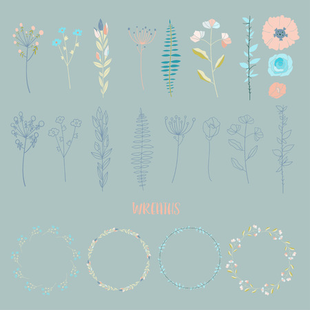 Hand drawn vintage elegant floral elements. Flowers and plants.のイラスト素材