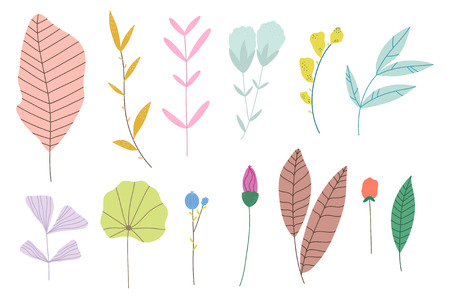 Bundle of hand drawn doodle flowers and plants. Girly boho illustrationsのイラスト素材