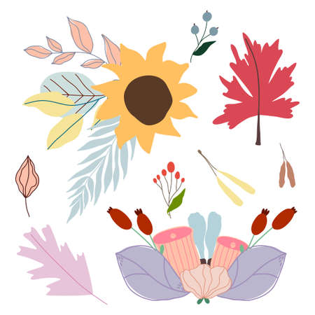 Set of hand drawn simple pastel vector flowers and plants.のイラスト素材