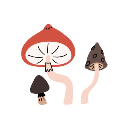 Adorable hand drawn vector mushroom illustration set.のイラスト素材
