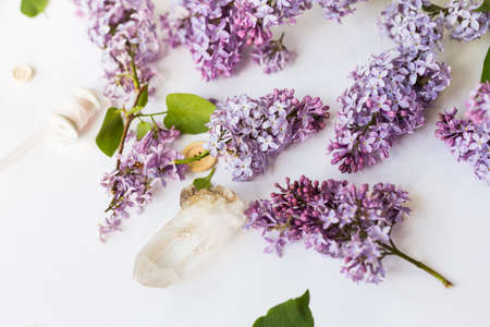 Flat lay top view photo of spring composition.の写真素材