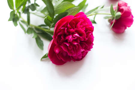 Cute vintage photography with flowers. Flat lay top view.の写真素材