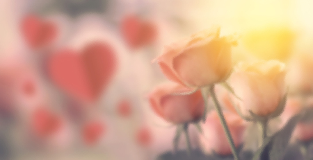 Glass texture with Happy valentine day, fine daisy color tone design, Blur and Select focus backgroundの写真素材