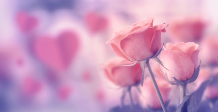 Happy valentine day, fine daisy color tone design, Blur and Select focus backgroundの写真素材