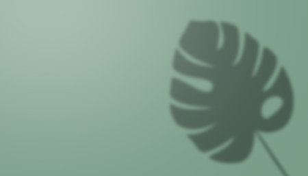 summer background. shadow of monstera leaves on green wall background