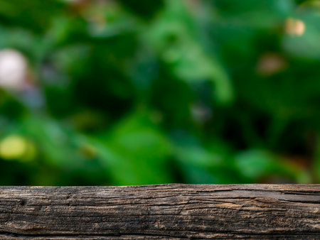 old timber in outdoors garden forest blurred green leaf plant nature backgroundの写真素材