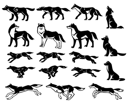 Vector set of wolf silhouettes on a white background.のイラスト素材