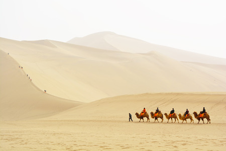 DUNHUANG, GANSU, CHINA- MARCH 11, 2016: Group of tourists are riding camels in the desert at Mingsha Mountain, Dunhuang, China. This is a famous place part of silk road in Dunhuang.のeditorial素材