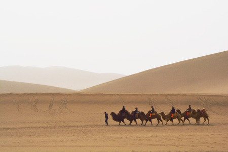 DUNHUANG, GANSU, CHINA- MARCH 11, 2016: Group of tourists are riding camels in the desert at Mingsha Mountain in Dunhuang, China. This is a famous place part of silk road in Dunhuang.のeditorial素材