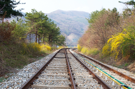 Beautiful landscape view of railway train in Korea in spring seasonの写真素材