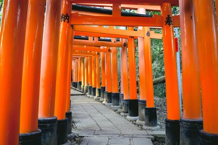 KYOTO, JAPAN %u2013 APRIL 18, 2019: Senbon torii along the main path around 10,000 torii gates at Fushimi Inari Taisha Shrine, kyoto Japan.のeditorial素材