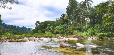 Natural forest river wind flow, scene of beautiful landscape.の写真素材