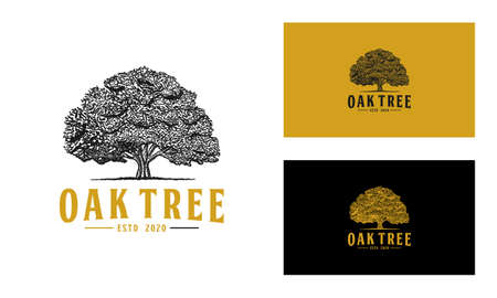 Oak tree logo design vector or hand drawn isolatedのイラスト素材