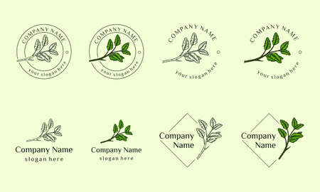Nature cosmetics design collection can use for beauty salon, spa, yoga, fashion, hand drawn leaf illustrationのイラスト素材