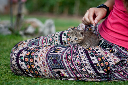 Girl with her kittenの写真素材