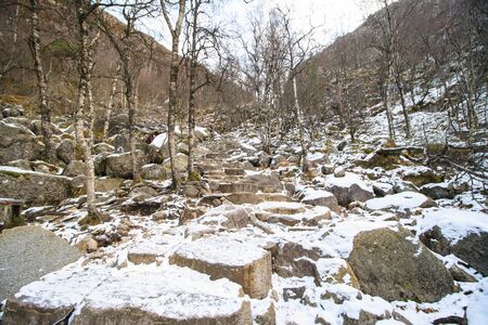 winter road up to the preiklestolenの写真素材