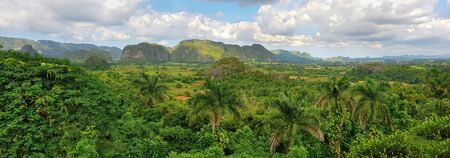 Panoramic view of green rain forest near Vinales, Cuba.の写真素材