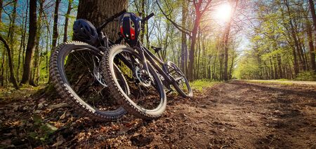 Two mountain bikes leaned on a tree next to a beautiful green forest trail with sun shining through the trees. Mountain biking concept.の写真素材