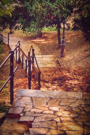 Autumn staircase with green trees and yellow leaves fallen on the ground in a city park. の写真素材