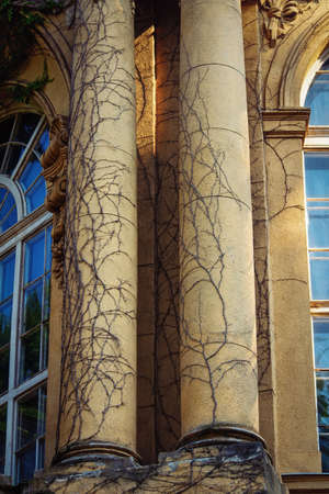 Close up shot of two stone pillars, columns of the Vajdahunyad Castle, currently the agricultural...