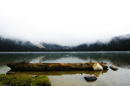 Nature scenery viewの写真素材